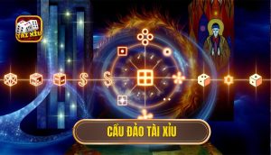 cầu đảo tài xỉu