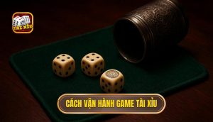 cách vận hành game tài xỉu