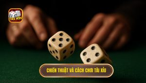 chiến thuật và cách chơi tài xỉu