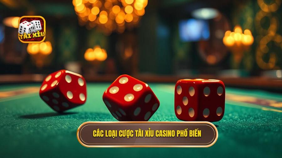 Các loại hình đặt cược phổ biến trong tài xỉu casino