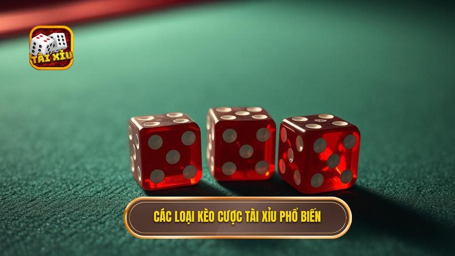 Hướng dẫn tài xỉu: Các loại kèo cược phổ biến