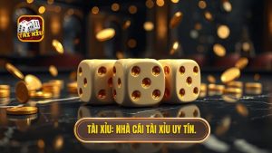 Top Nhà Cái Tài Xỉu Uy Tín 2024 - Kinh Nghiệm Chọn Sân Chơi Xanh Chín