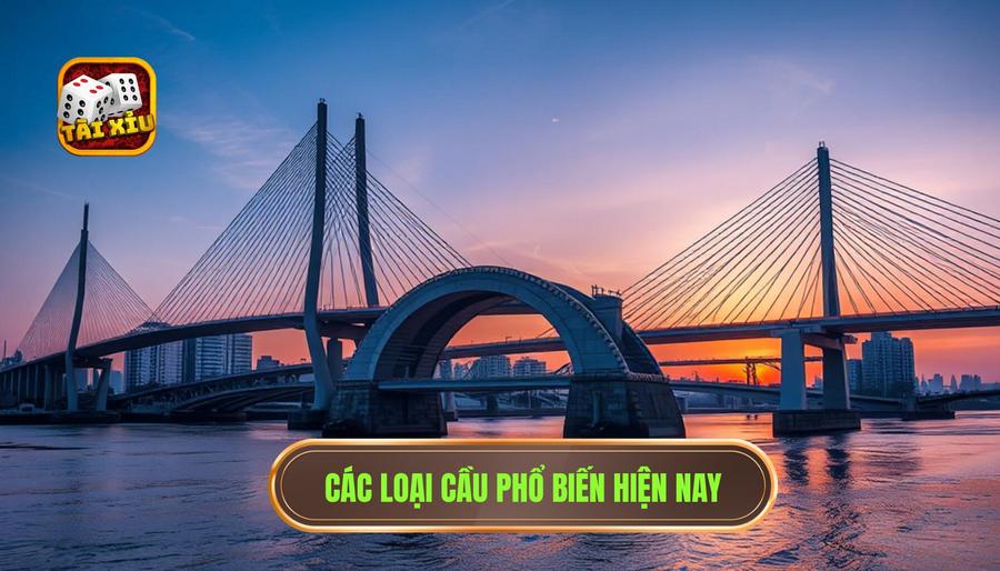Các loại cầu phổ biến thường gặp hiện nay